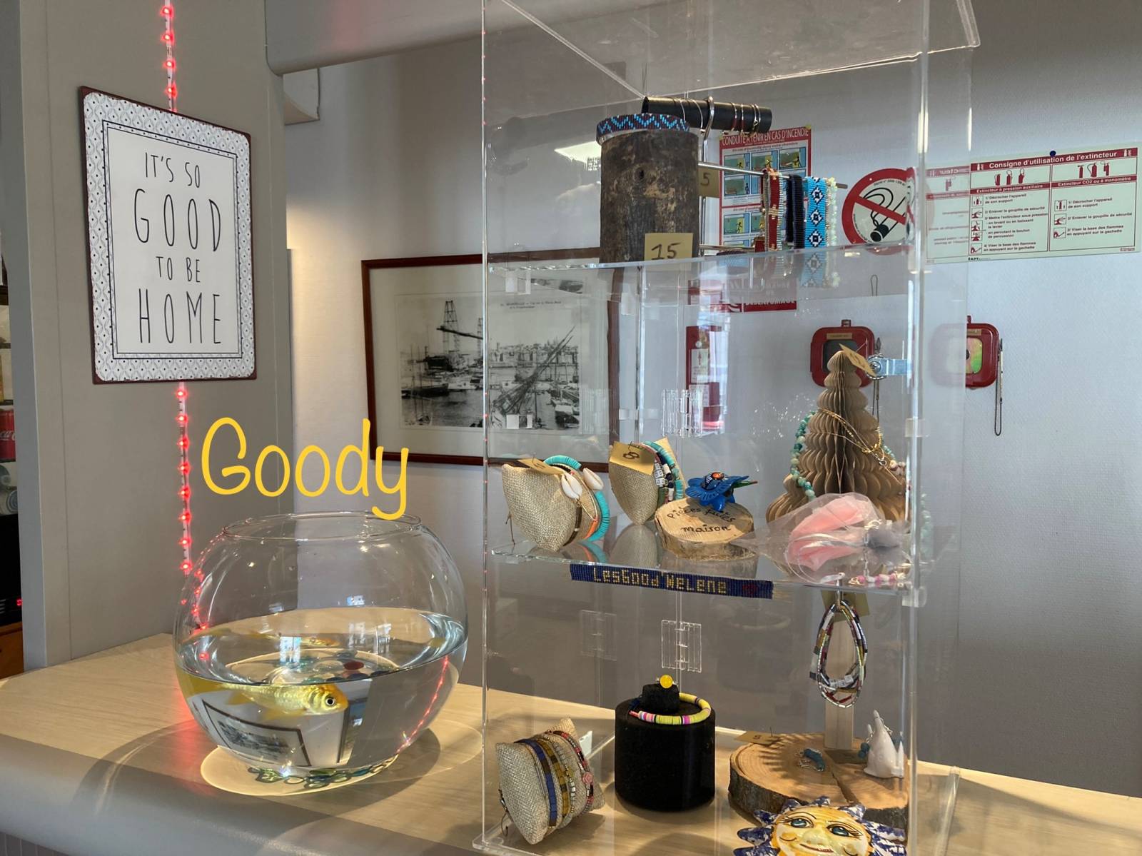 la mascotte et des bijoux fait maison